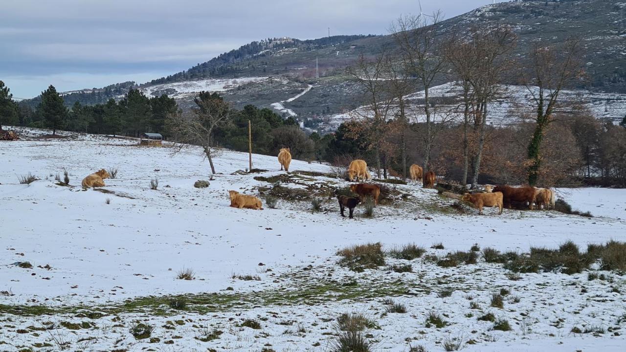 Quinta De Santo Estevao Hotel Rural Aguiar da Beira Dış mekan fotoğraf