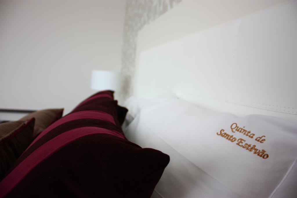 Quinta De Santo Estevao Hotel Rural Aguiar da Beira Dış mekan fotoğraf